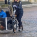 Devant le Palais royal